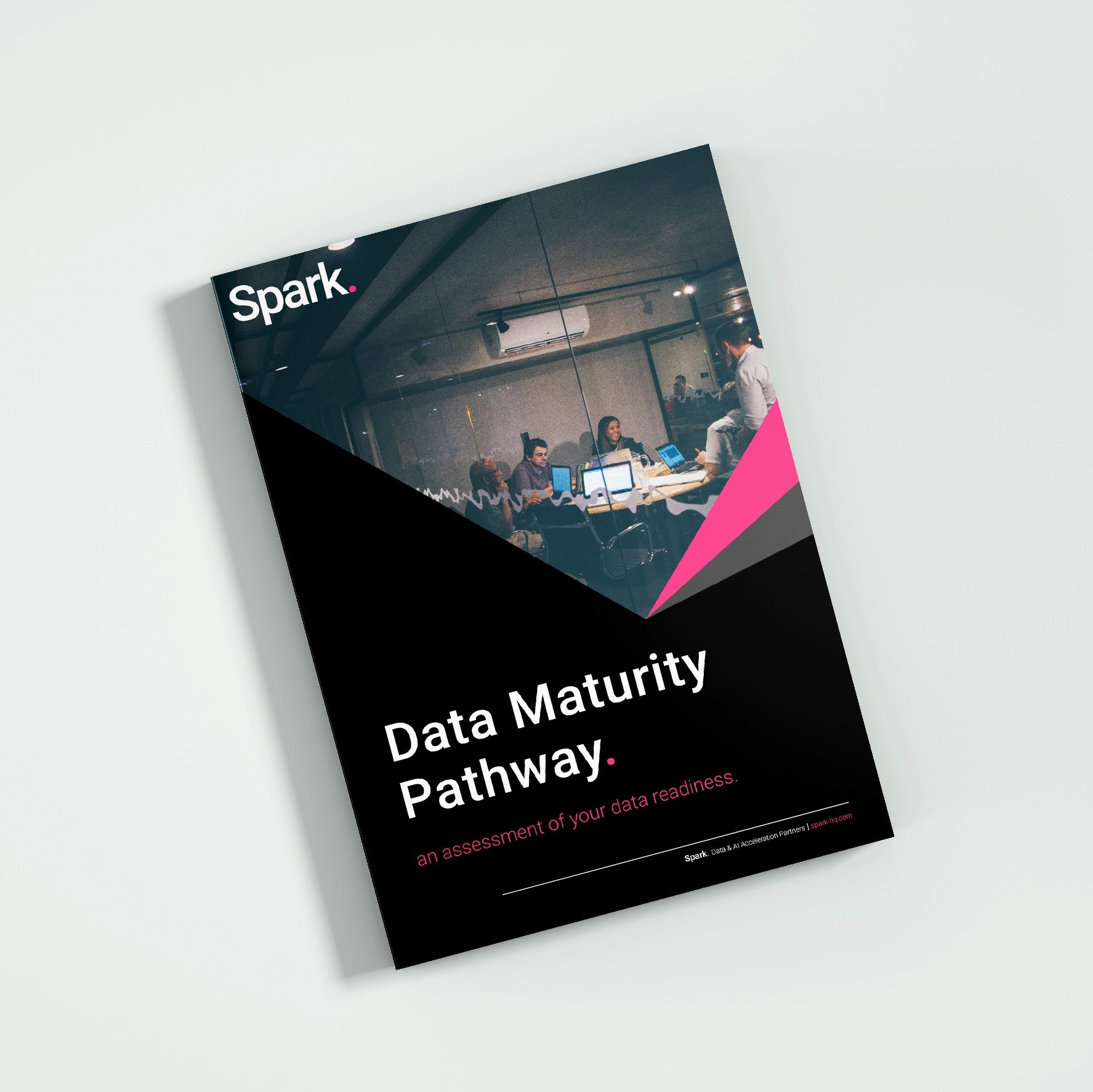 data-maturity-pathway-pdf-1